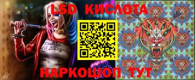 молекула духа Камышлов