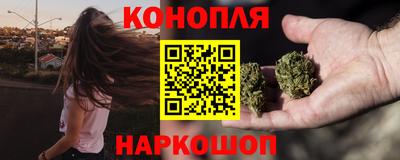 молекула духа Камышлов